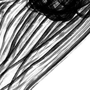 Detall arbre, de Montse Noguera